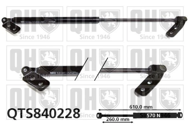 Image of QUINTON HAZELL Tailgate strut QUINTON HAZELL QTS840228