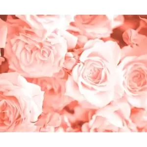 Image of Origin Murals Petals Peach Wall Mural - 3.5m x 2.8m