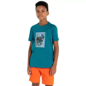 image of Dare 2B Boys Trailblazer Casual Graphic T Shirt 9-10 Years- Chest 27-28', (69-72cm)