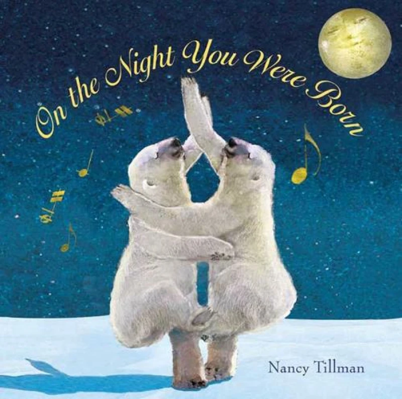 Image of On the Night You Were Born by Nancy Tillman Book
