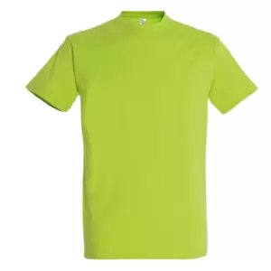 image of SOLS Mens Imperial Heavyweight Short Sleeve T-Shirt (L) (Apple Green)