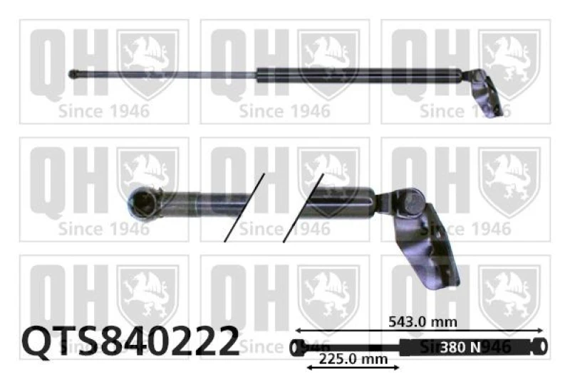 Image of QUINTON HAZELL Tailgate strut QUINTON HAZELL QTS840222