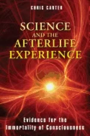 Image of science and the afterlife experience evidence for the immortality of consci