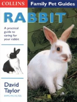 Image of Rabbit by David Taylor Paperback