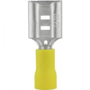 Image of Blade receptacle Connector width 9.5mm Connector thickness 1.2 mm