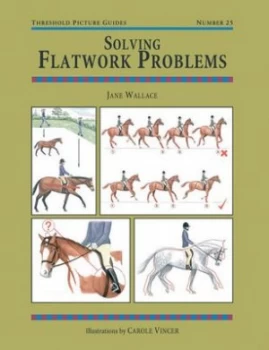 Image of Solving Flatwork Problems by Jane Wallace Paperback