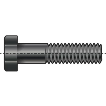 Image of M12X110 Hex Head Bolt (GR-8.8)- you get 5 - Qualfast