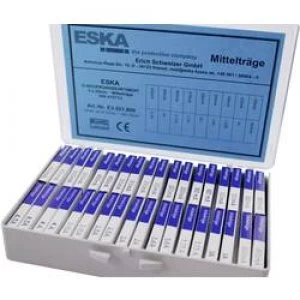 Image of Micro fuse set x L 5mm x 20 mm Medium time lag mT