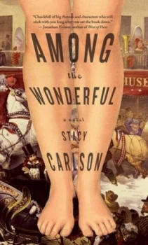 Image of Among the Wonderful by Stacy Carlson Book
