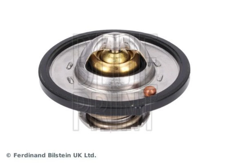 Image of Blue PRINT Thermostat Blue PRINT ADBP920015