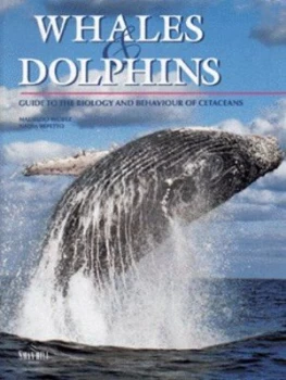 Image of Whales and Dolphins by Maurizio Wrtz and Nadia Repetto Book