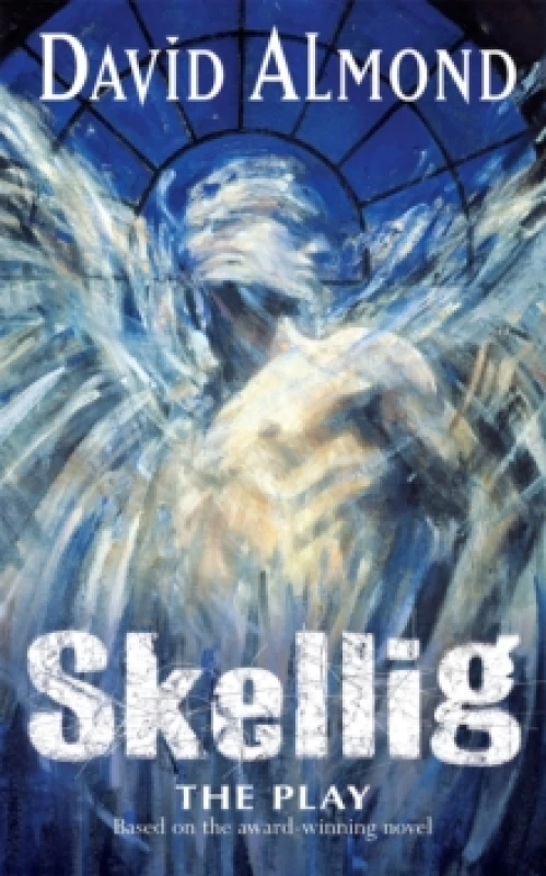 Image of David Almond Skellig The Play Book Multi unisex