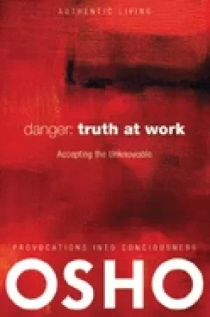 Image of danger truth at work the courage to accept the unknowable