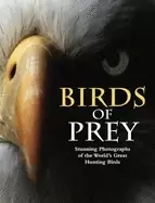 Image of birds of prey stunning photographs of the worlds great hunting birds
