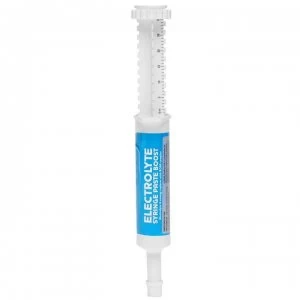 image of Nettex Electrolyte Syringe Paste Boost - Single