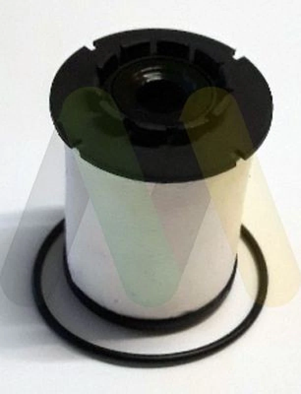 Image of MOTAQUIP Fuel filter MOTAQUIP LVFF748