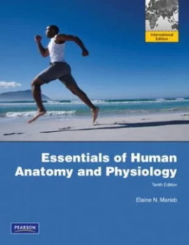 Image of Essentials of Human Anatomy and Physiology by Elaine N. Marieb Paperback