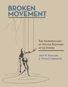 Image of Broken Movement : The Neurobiology of Motor Recovery after Stroke