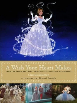 Image of A Wish Your Heart Makes by Charles Solomon Hardback
