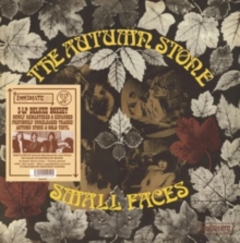 Image of The Autumn Stone Vinyl