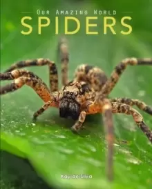 Image of Spiders : Amazing Pictures & Fun Facts on Animals in Nature