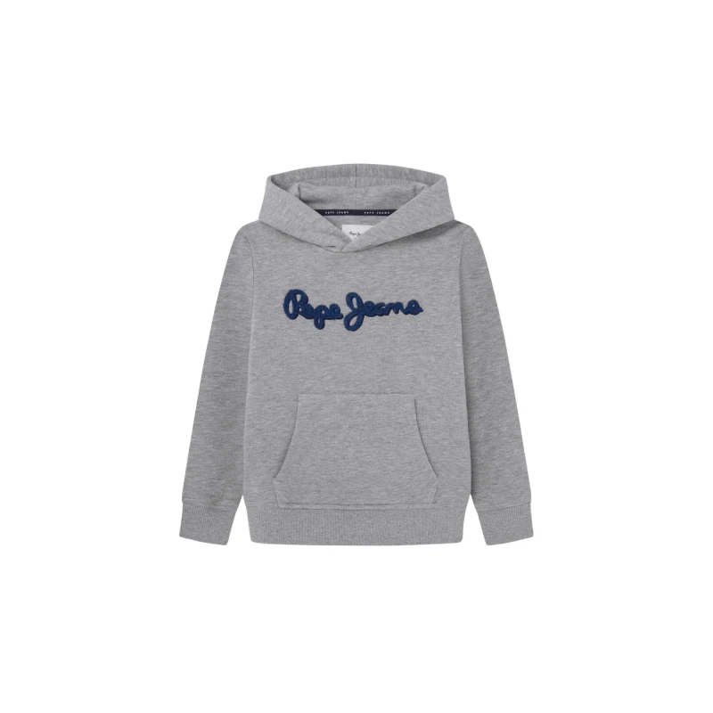 Image of Pepe Jeans Child hoodie Pepe Jeans New Lamonty Gris Male 12 ans
