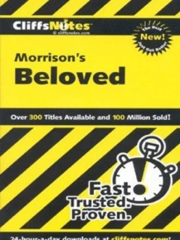 Image of Morrisons Beloved by Mary Robinson Paperback