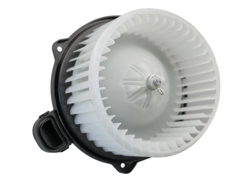 Image of Blower motor WALKER WBL00413