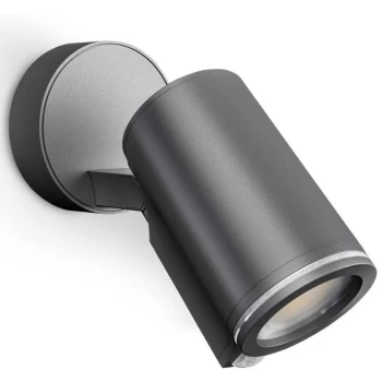 Image of Outdoor Sensor Spotlight Spot One Sensor Connect Black - Black - Steinel