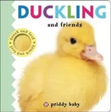 Image of Duckling and Friends : Priddy Touch & Feel