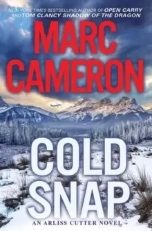 Image of Cold Snap : An Action Packed Novel of Suspense