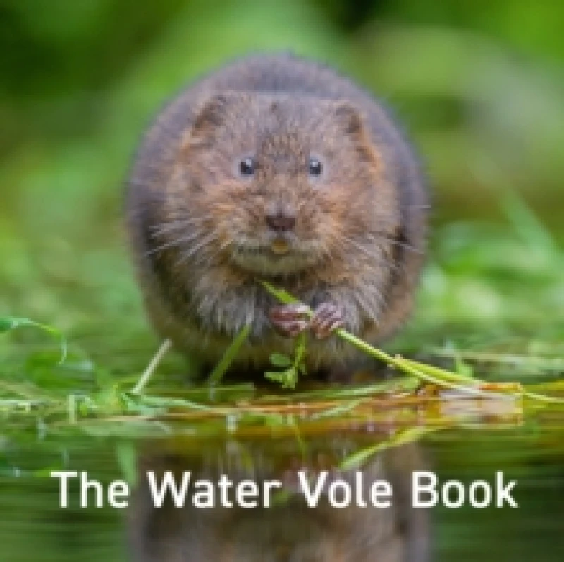 Image of Nature Book Series: The Water Vole Book Hardback