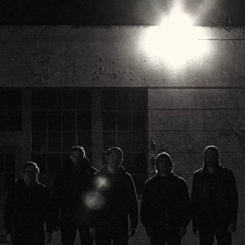 Image of Western Addiction - Frail Baby Vinyl