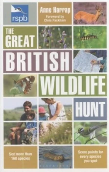 Image of The Great British Wildlife Hunt by Anne Harrap Paperback
