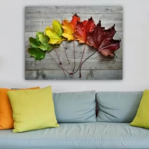 Image of 465000707_70100 Multicolor Decorative Canvas Painting