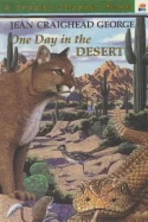 Image of one day in the desert