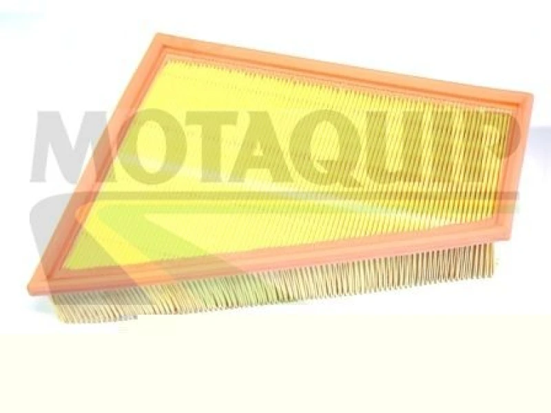 Image of MOTAQUIP Air filter MOTAQUIP VFA1191