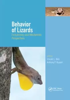 Image of Behavior of LizardsEvolutionary and Mechanistic Perspectives