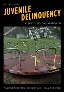 Image of Juvenile Delinquency : A Sociological Approach