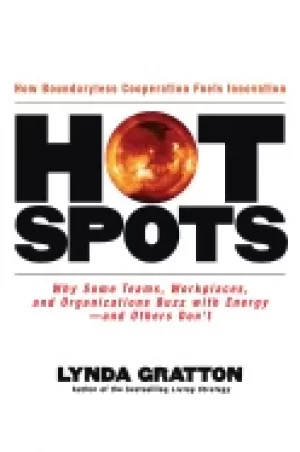 Image of hot spots why some teams workplaces and organizations buzz with energy and