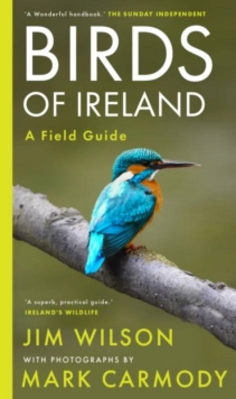 Image of Birds of Ireland Paperback / softback