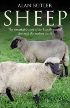Image of Sheep by Alan Butler Paperback