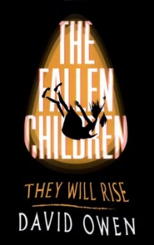 Image of The Fallen Children by David Owen Paperback