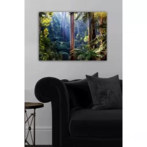 Image of 1082159894-5070 Multicolor Decorative Canvas Painting
