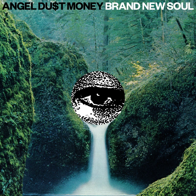 Image of Brand New Soul Vinyl