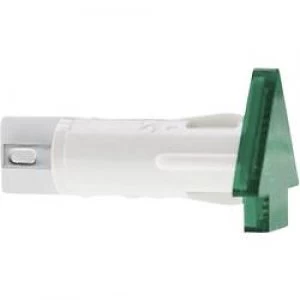 Image of RAFI 1.69.507.1581502 Green transparent