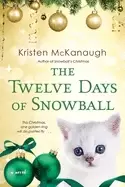 Image of twelve days of snowball