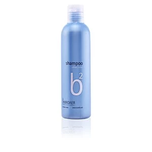 Image of B2 silver shampoo 250ml