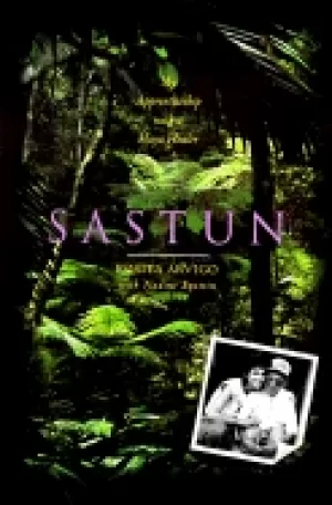 Image of sastun my apprenticeship with a maya healer