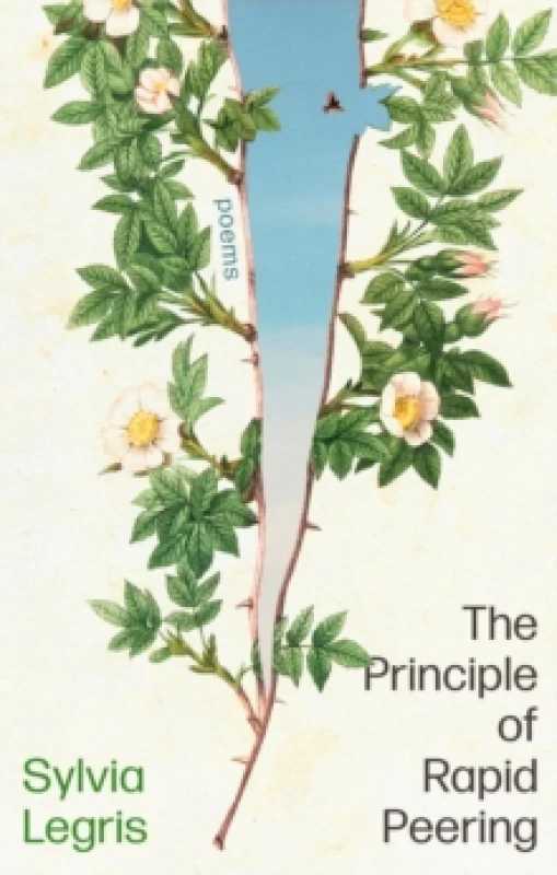 Image of The Principle of Rapid Peering Paperback / softback